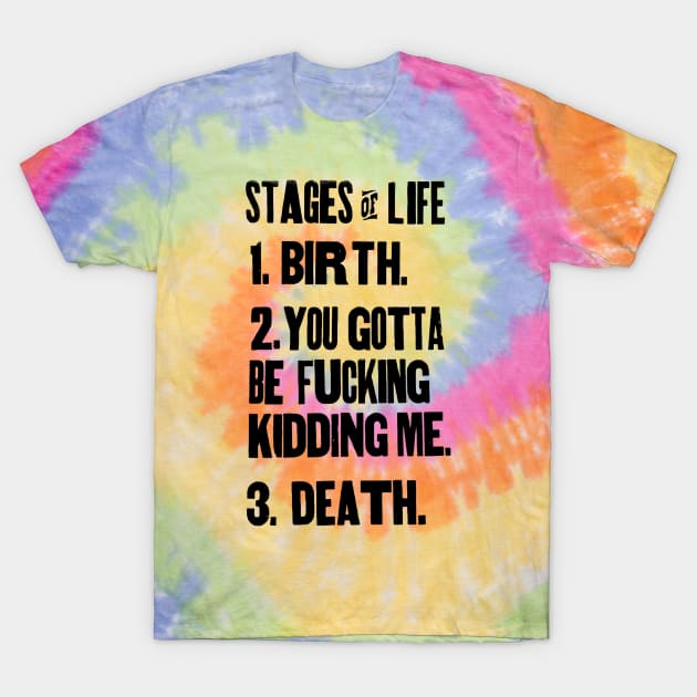 The Stages of Life T-Shirt by Stubbs Letterpress